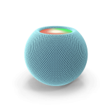 Voice Assistants